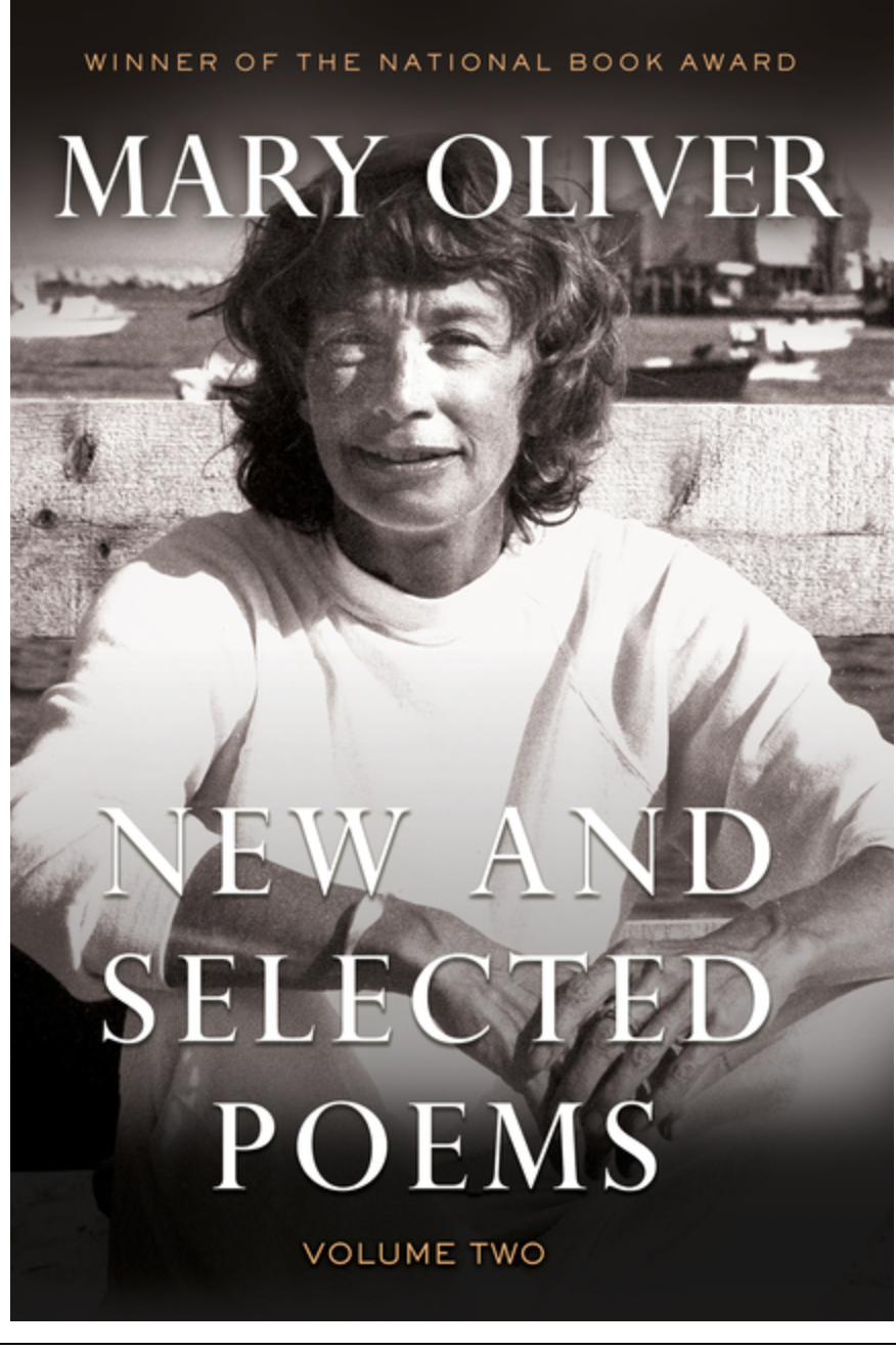 New & Selected Poems - Volume 2