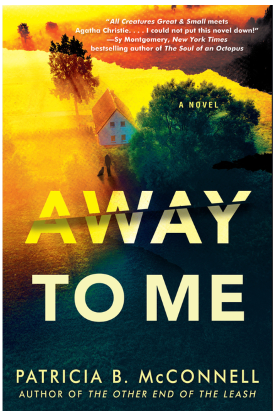 Away To Me