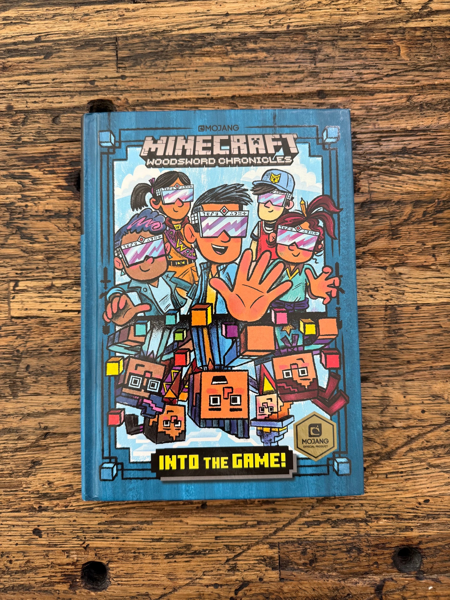 Minecraft Woodsword Chronicles #1: Into the Game! -mg,used