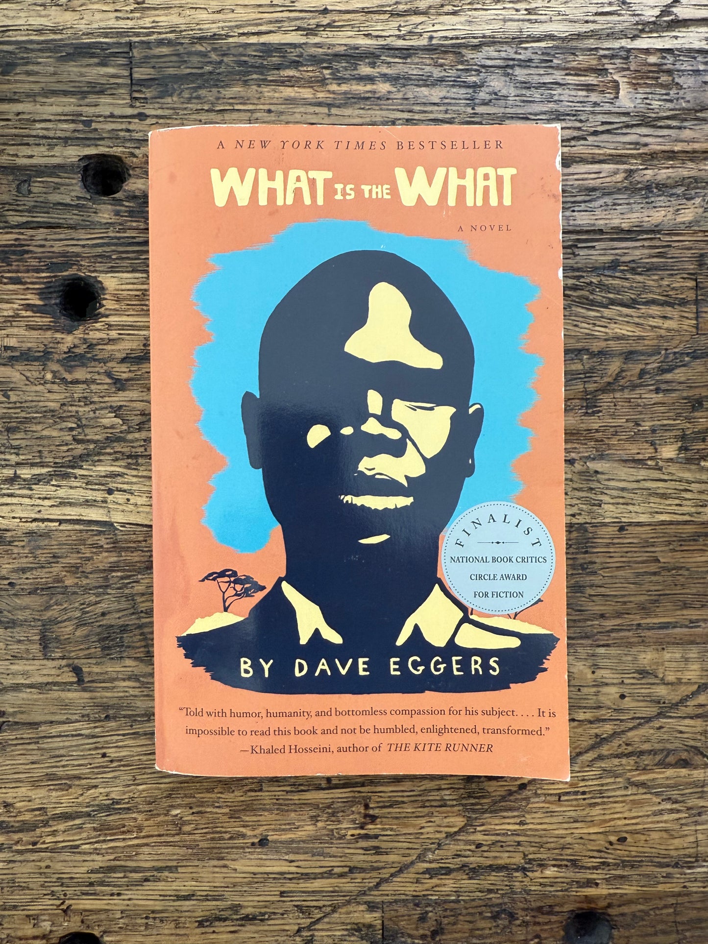 What Is The What -used