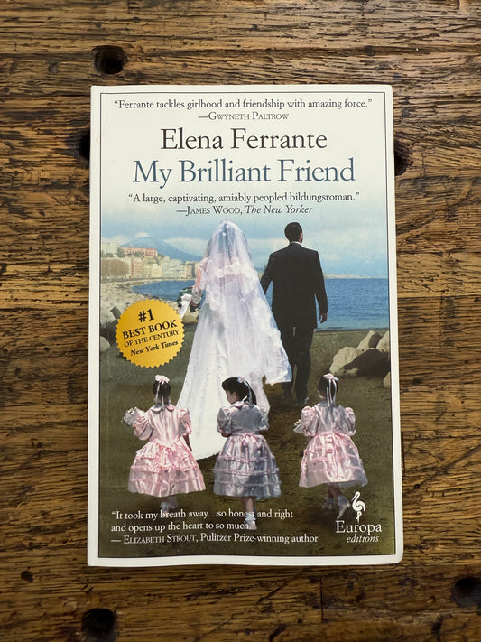 My Brilliant Friend -used