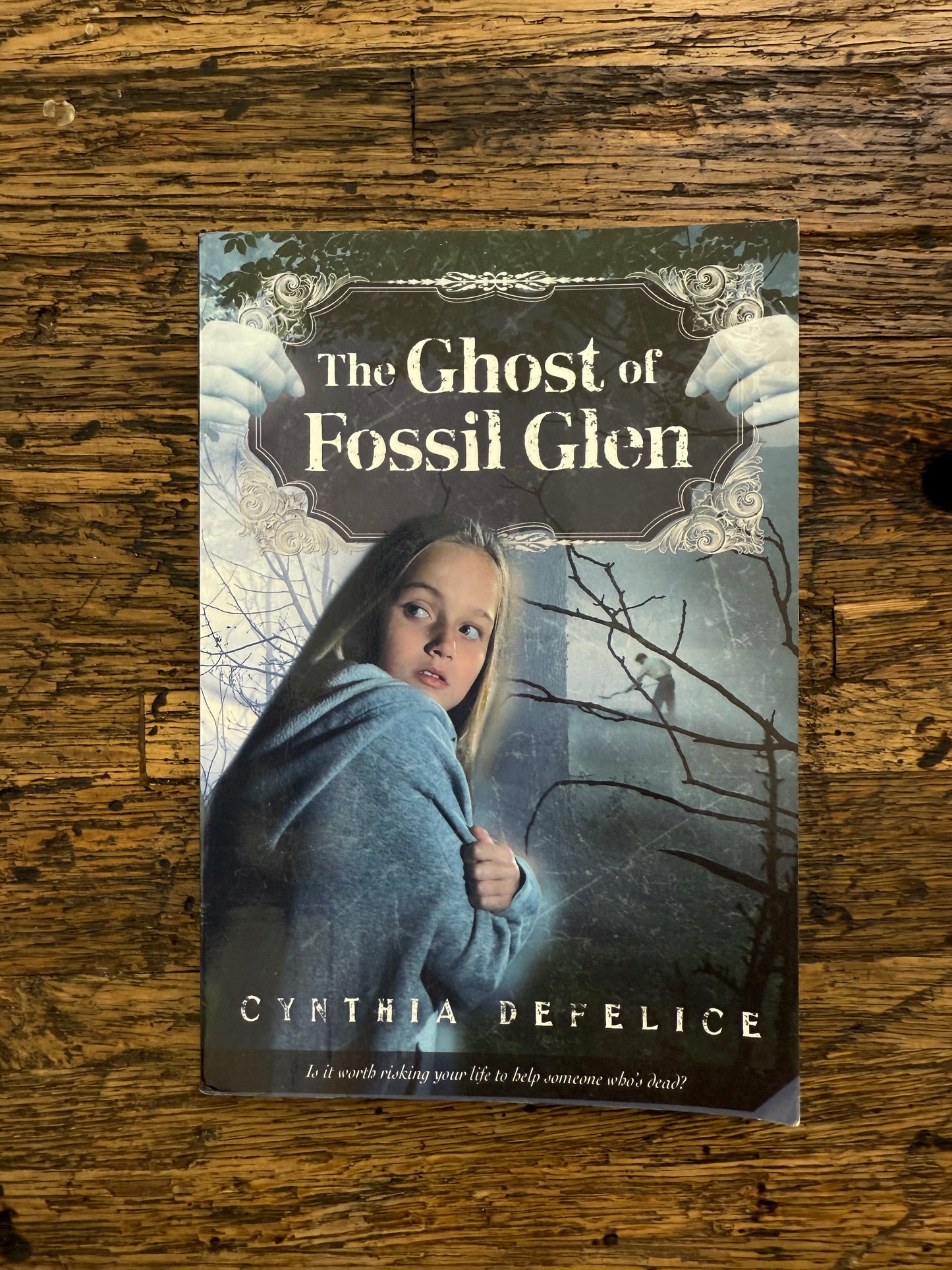 Used - The Ghost Of Fossil Glen