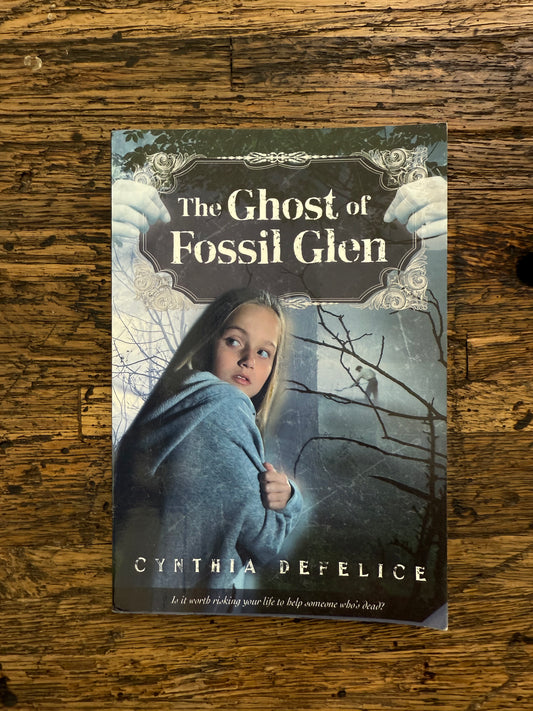 Used - The Ghost Of Fossil Glen