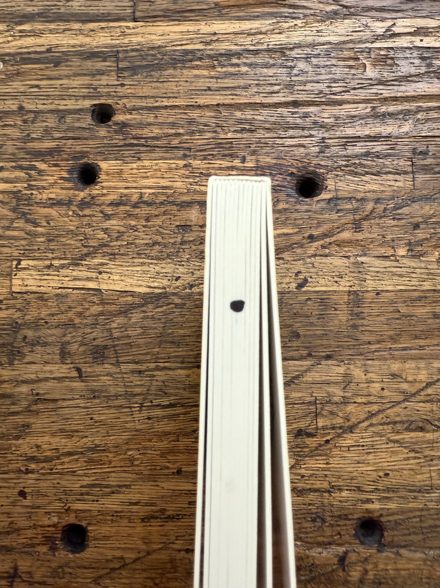 Baby Bear, Baby Bear, What Do You See?