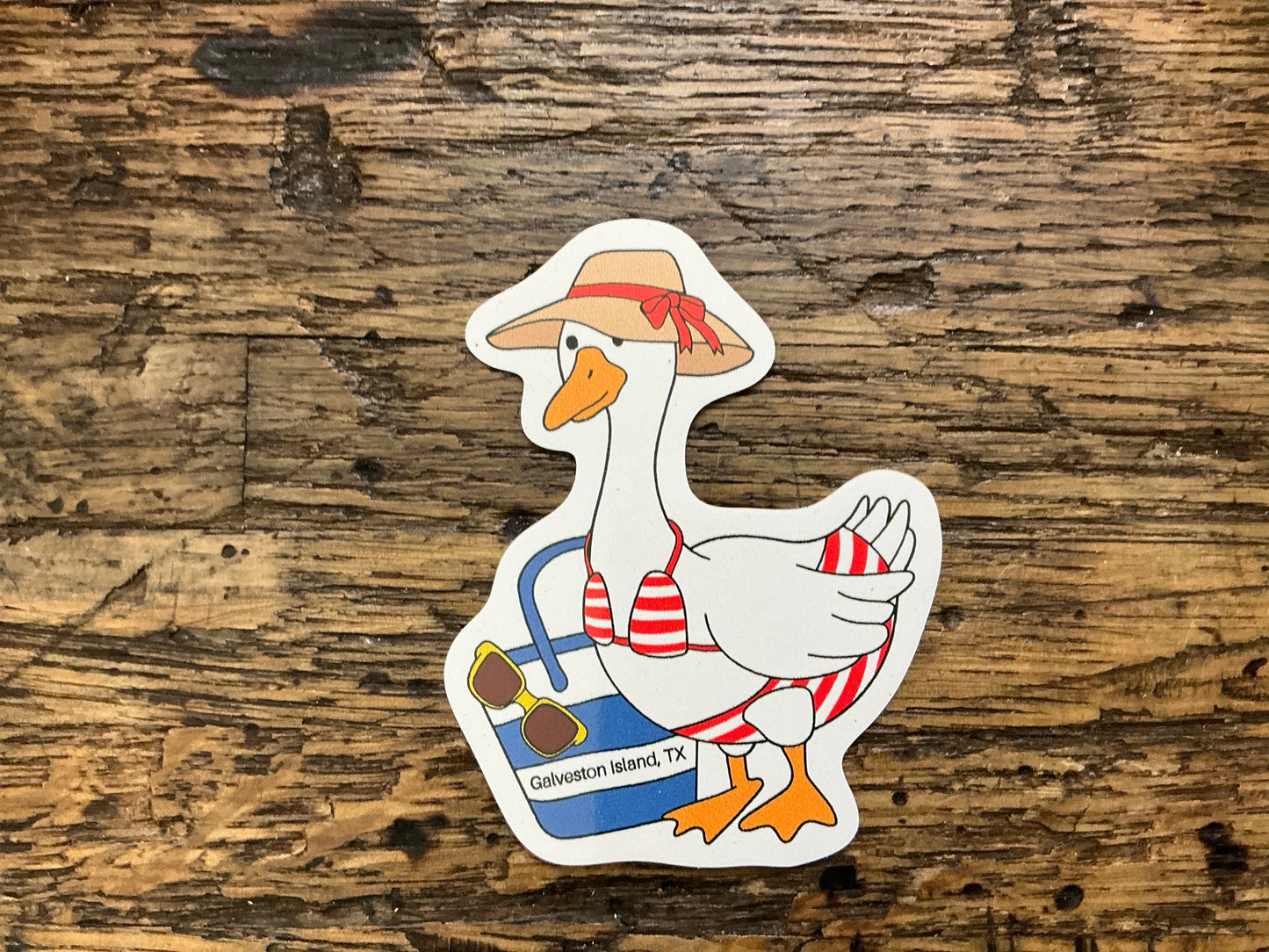 CS - GTX Beach Goose