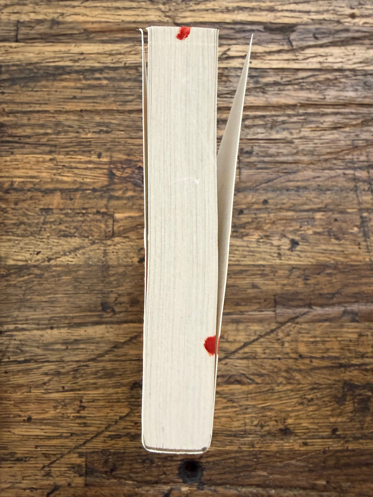 Remainder - The Bookish Life of Nina Hill