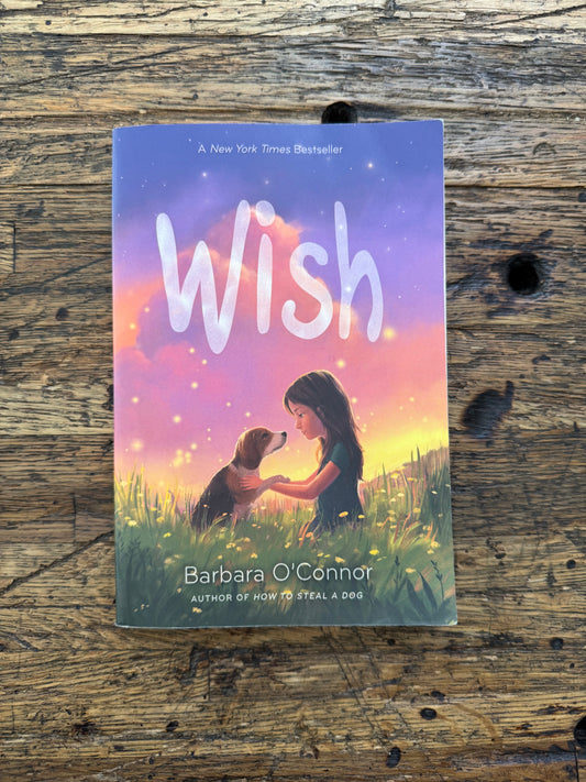 Used - Wish