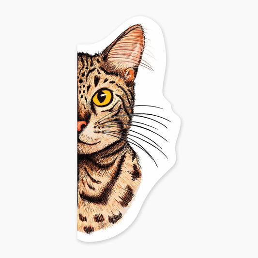 NE - Pitten sticker