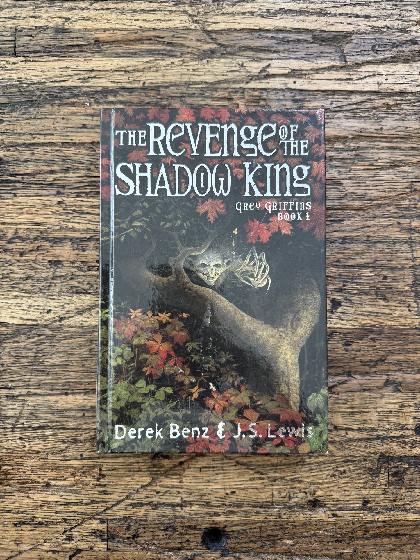 The Revenge Of The Shadow King -mg,used