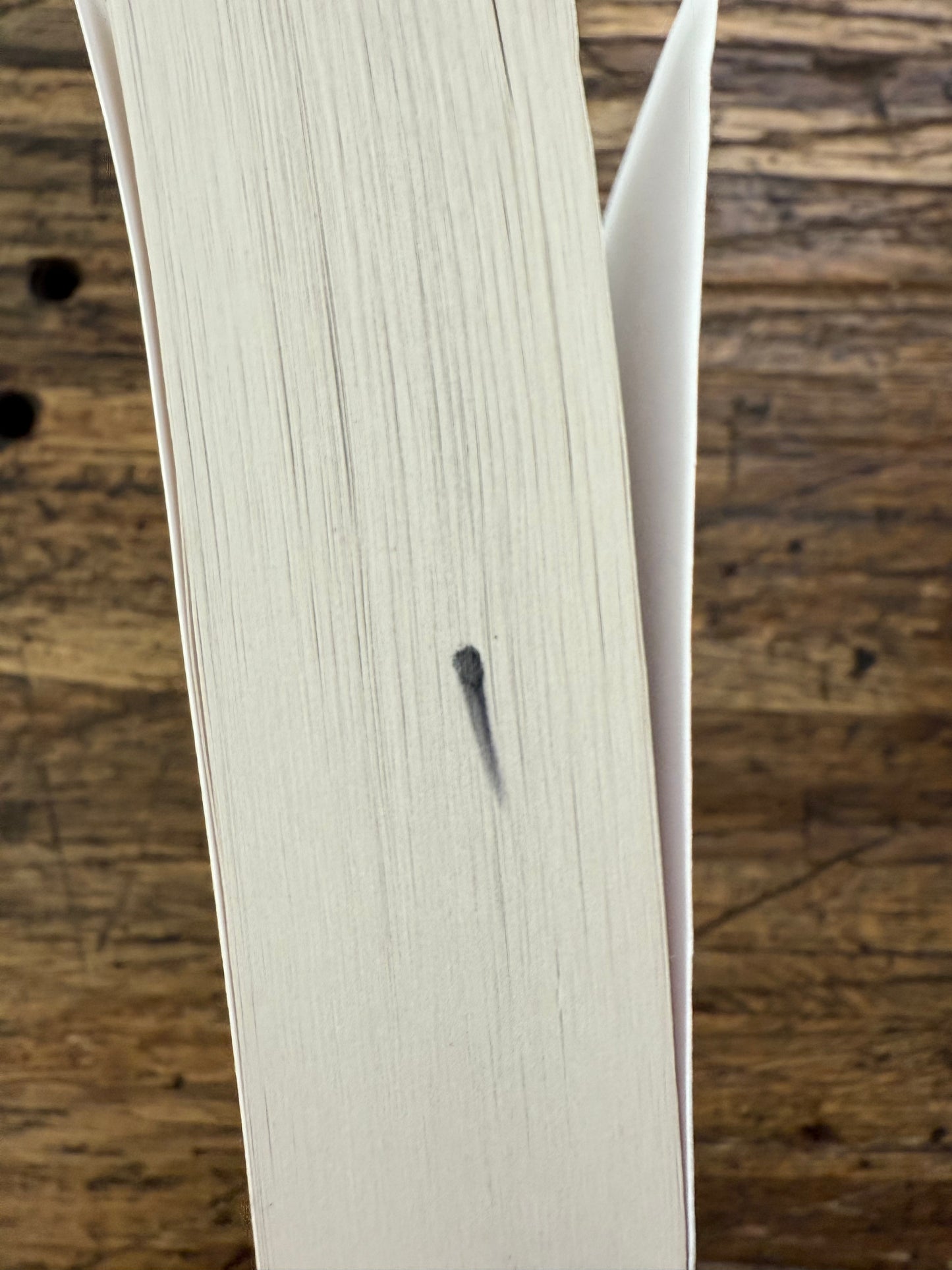 Remainder - The Given Day