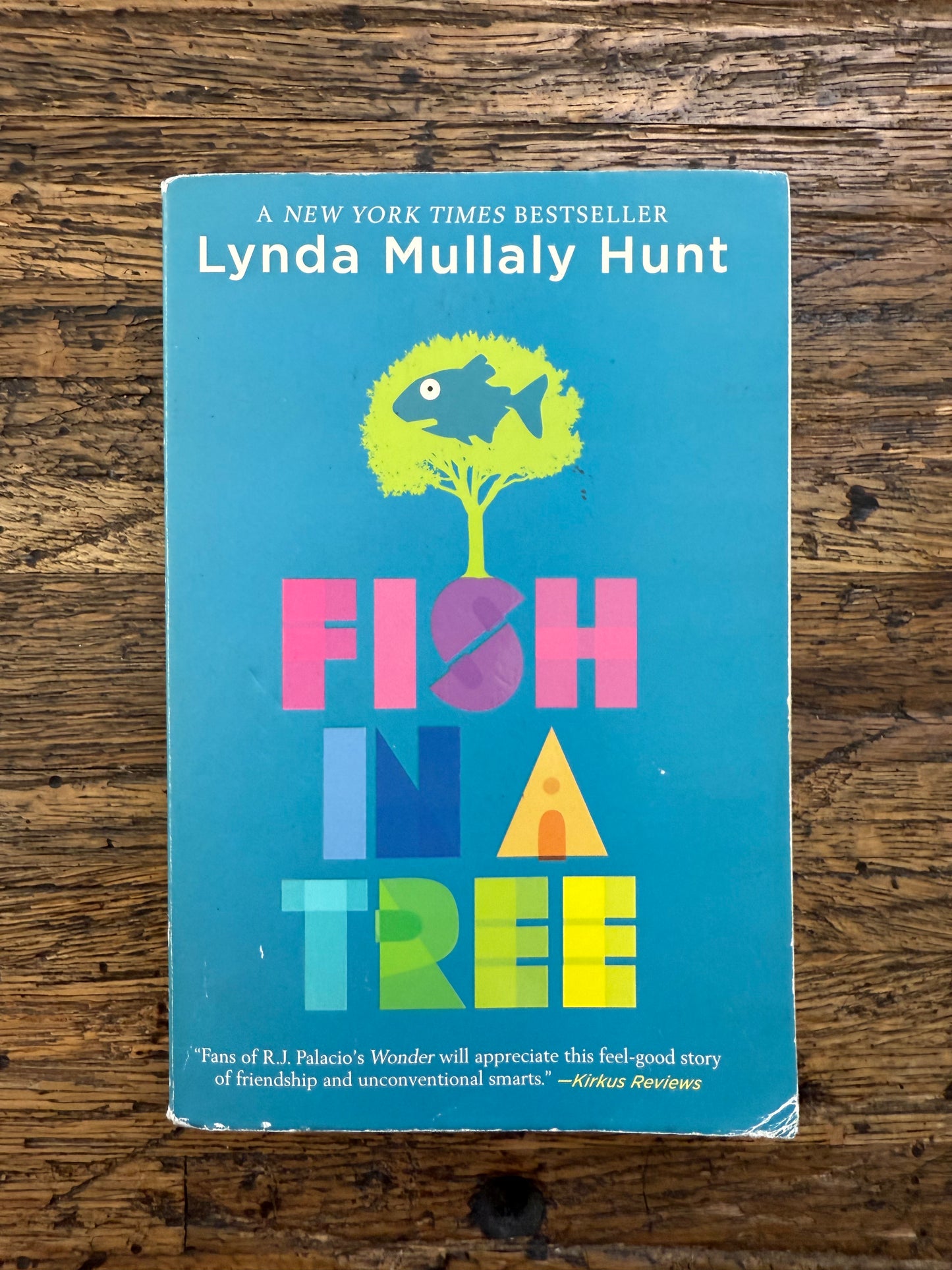 Fish In A Tree -used