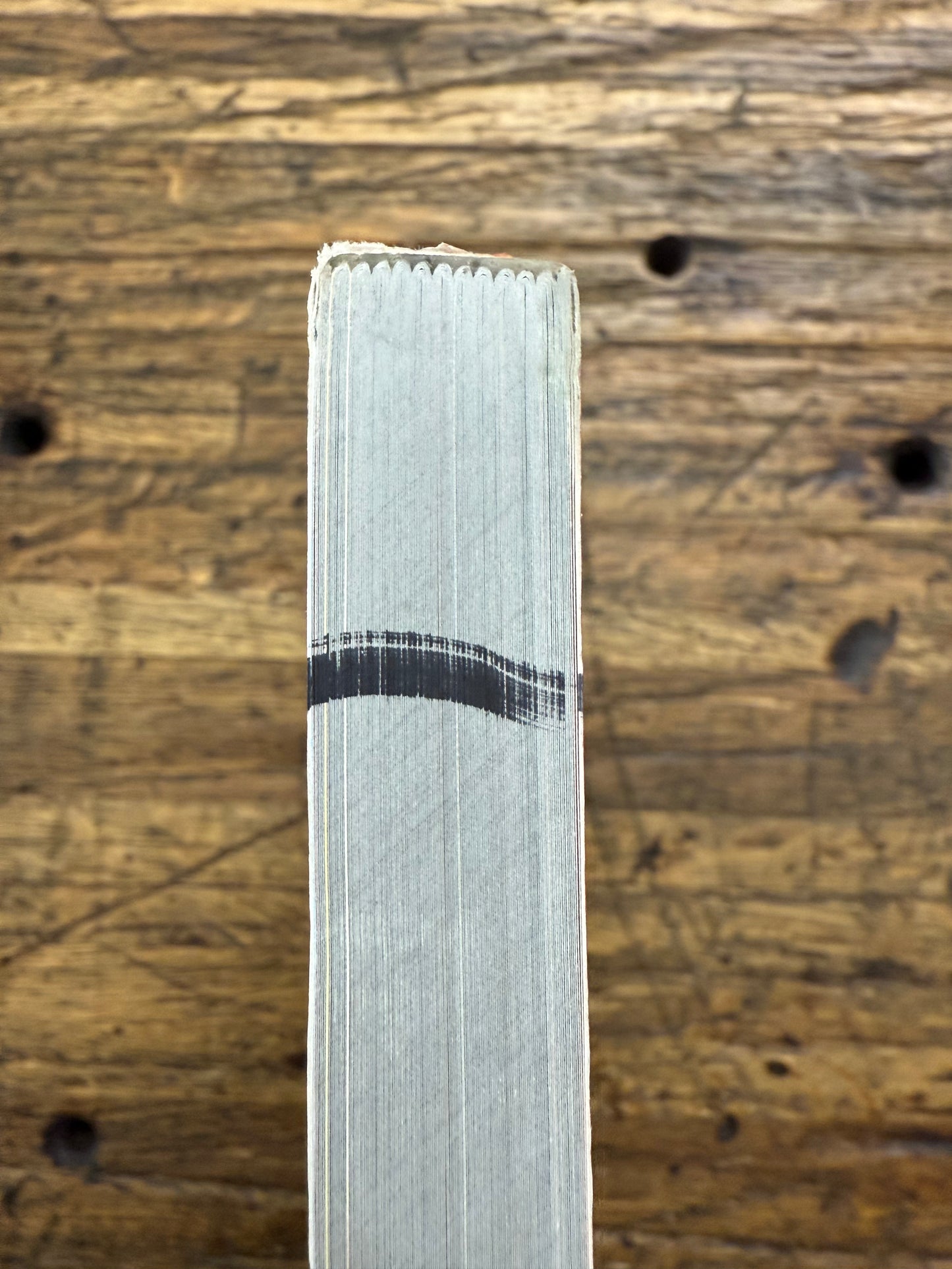 Ava’s Demon, Book 1: Reborn -remainder