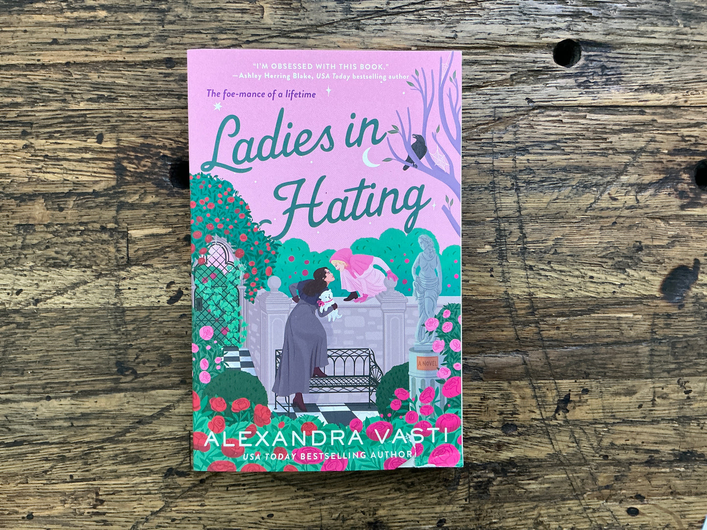 Damaged - Ladies in Hating (Belvoir’s Library #3) (Standalone)