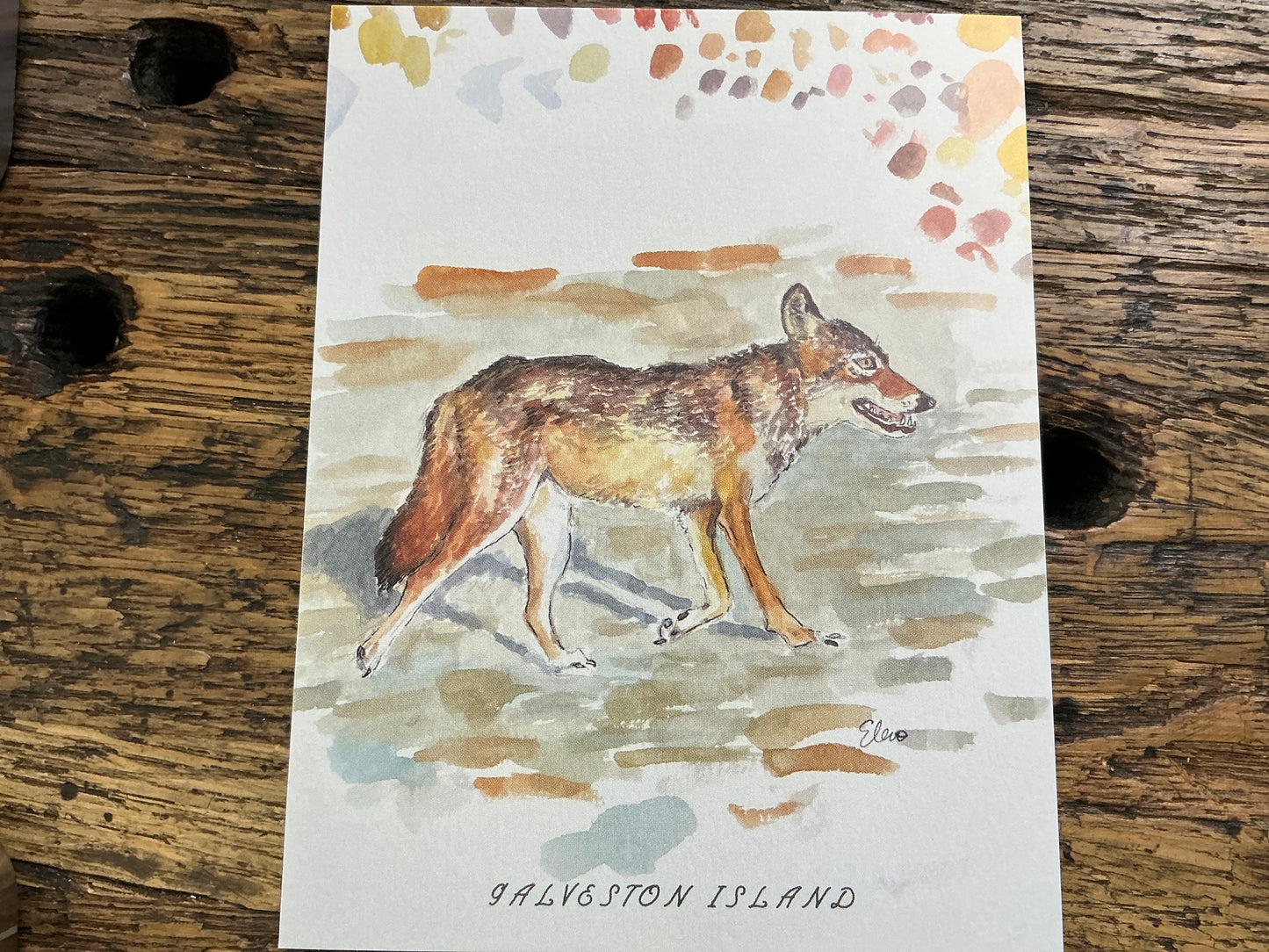 POSTCARD - Ghost Wolf