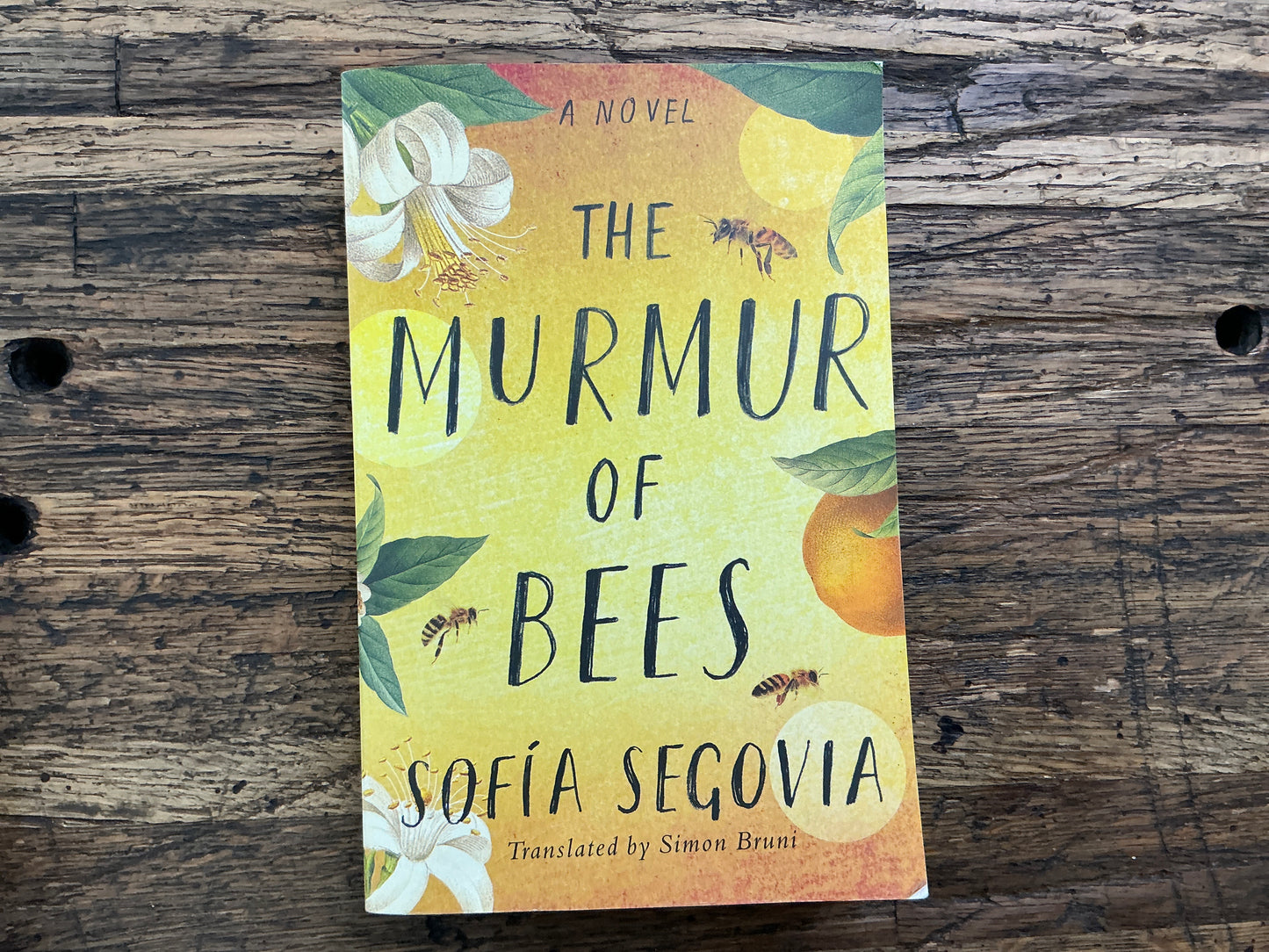 Used - The Murmur of Bees