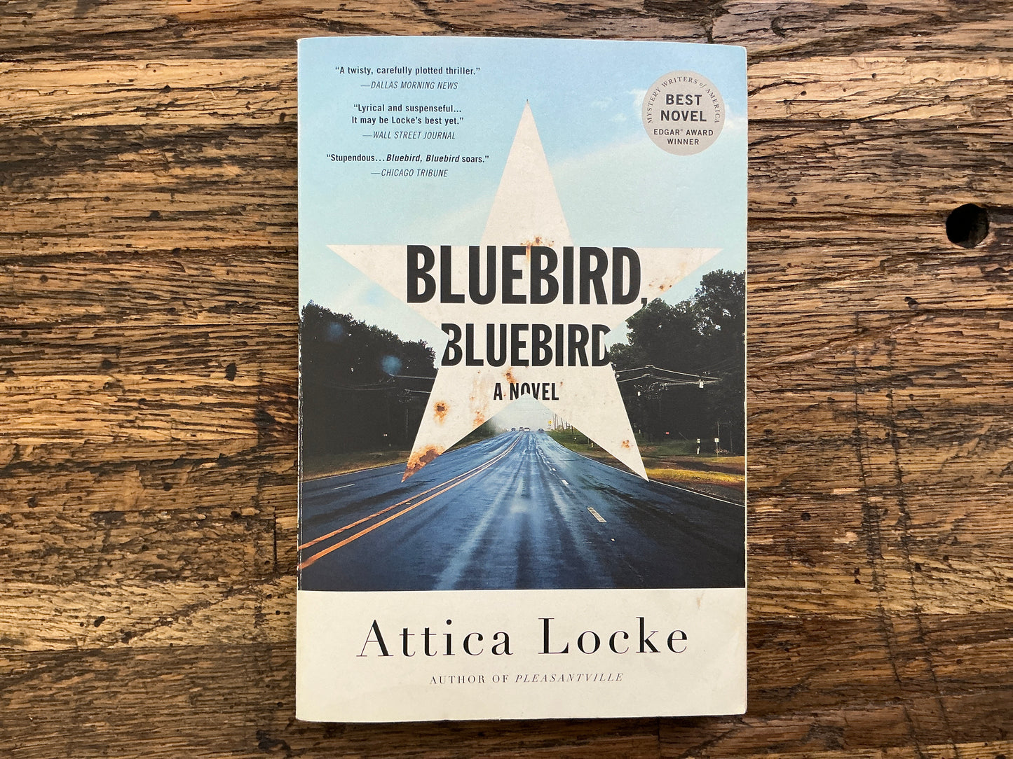 Used - Bluebird, Bluebird