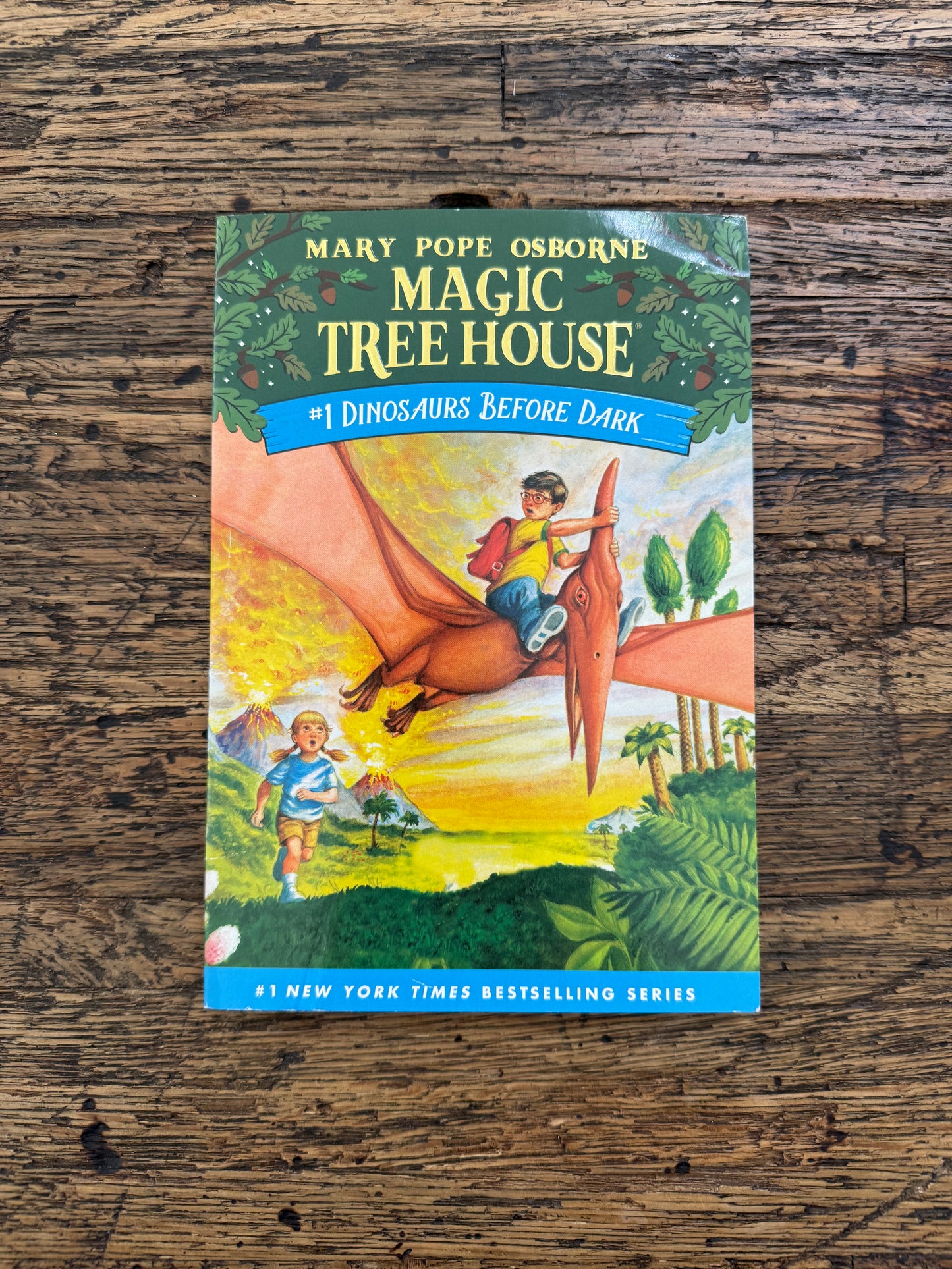 Magic Treehouse: #1 Dinosaurs Before Dark -fr,used