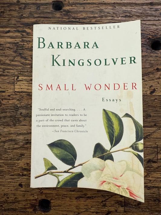 Small wonder -used