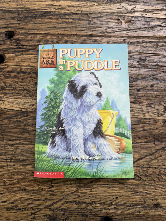 Puppy in a Puddle -MG,used