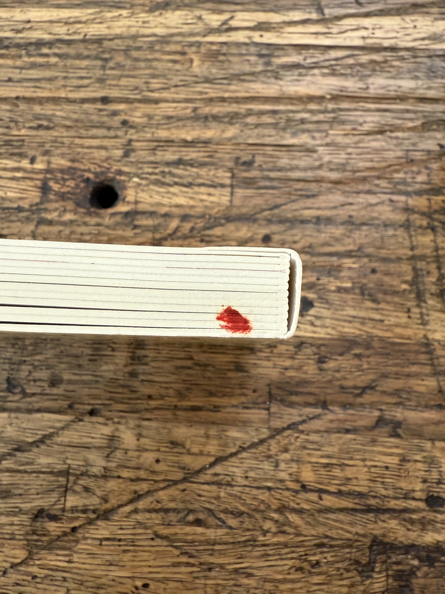 Spot's First Easter -BB, Remainder