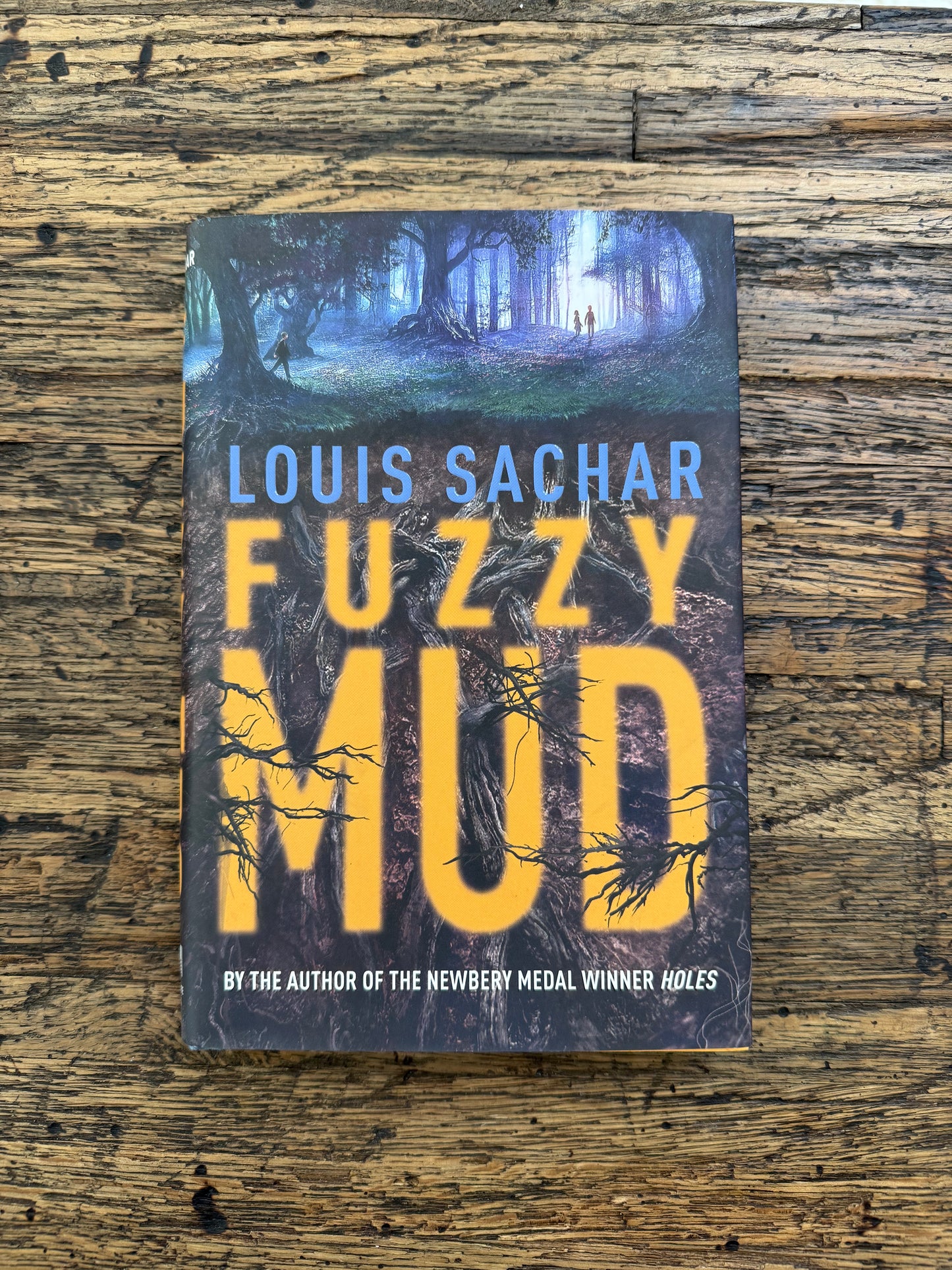 Fuzzy Mud -mg,used