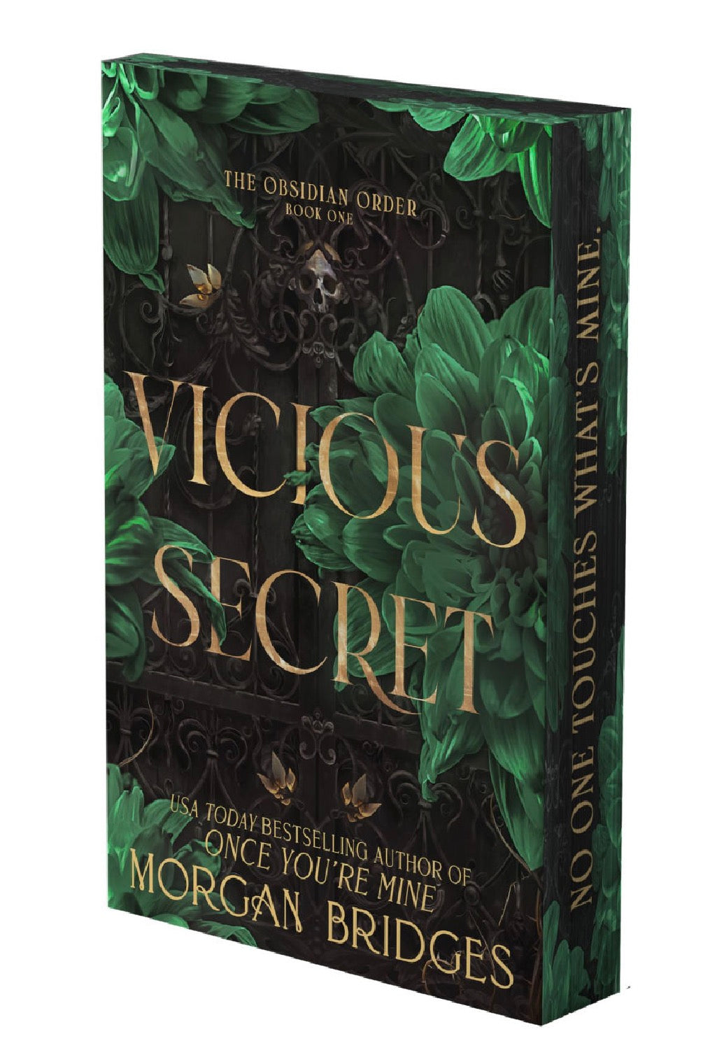 Vicious Secret (The Obsidian Order Book 1)