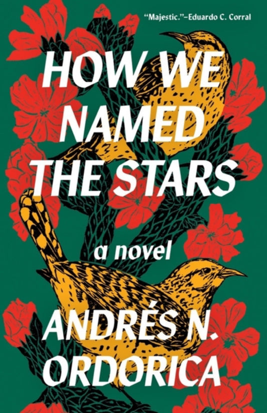 How We Named The Stars