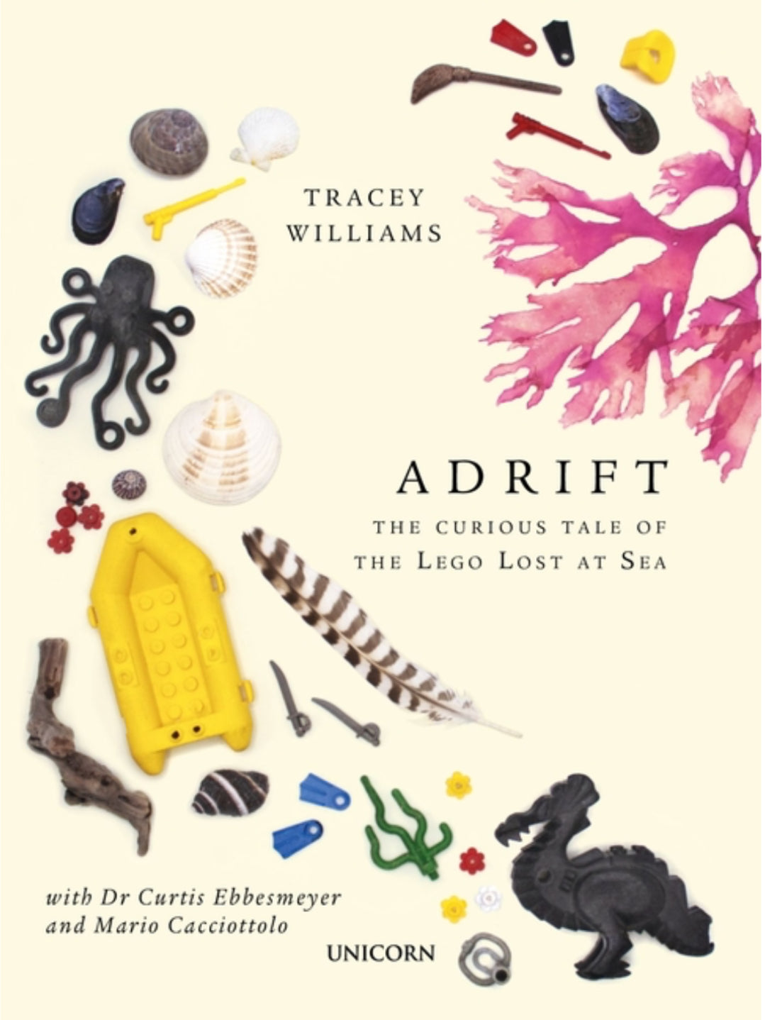 Adrift: The Curious Tale of the Lego Lost at Sea
