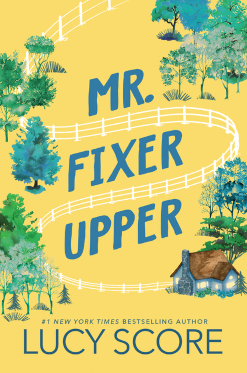 Mr. Fixer Upper - Remainder