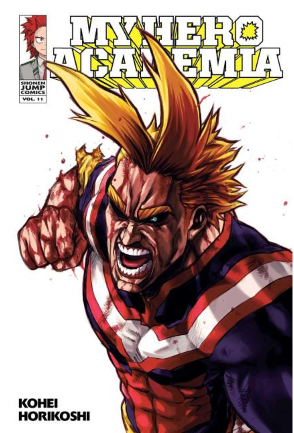 My Hero Academia, Vol. 11