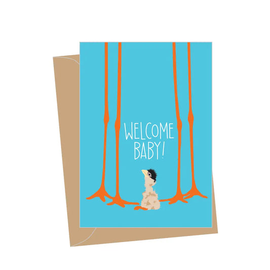 A2 - Mini New Baby Stork, Folded Enclosure Cards