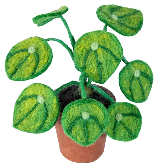 DZI - Money Plant Felt Plant