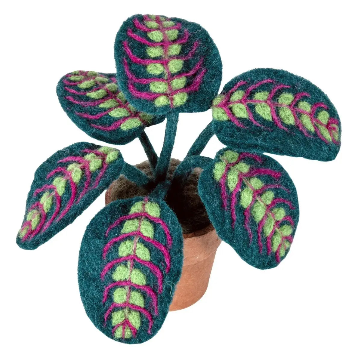 DZI - Prayer Plant Felt Plant