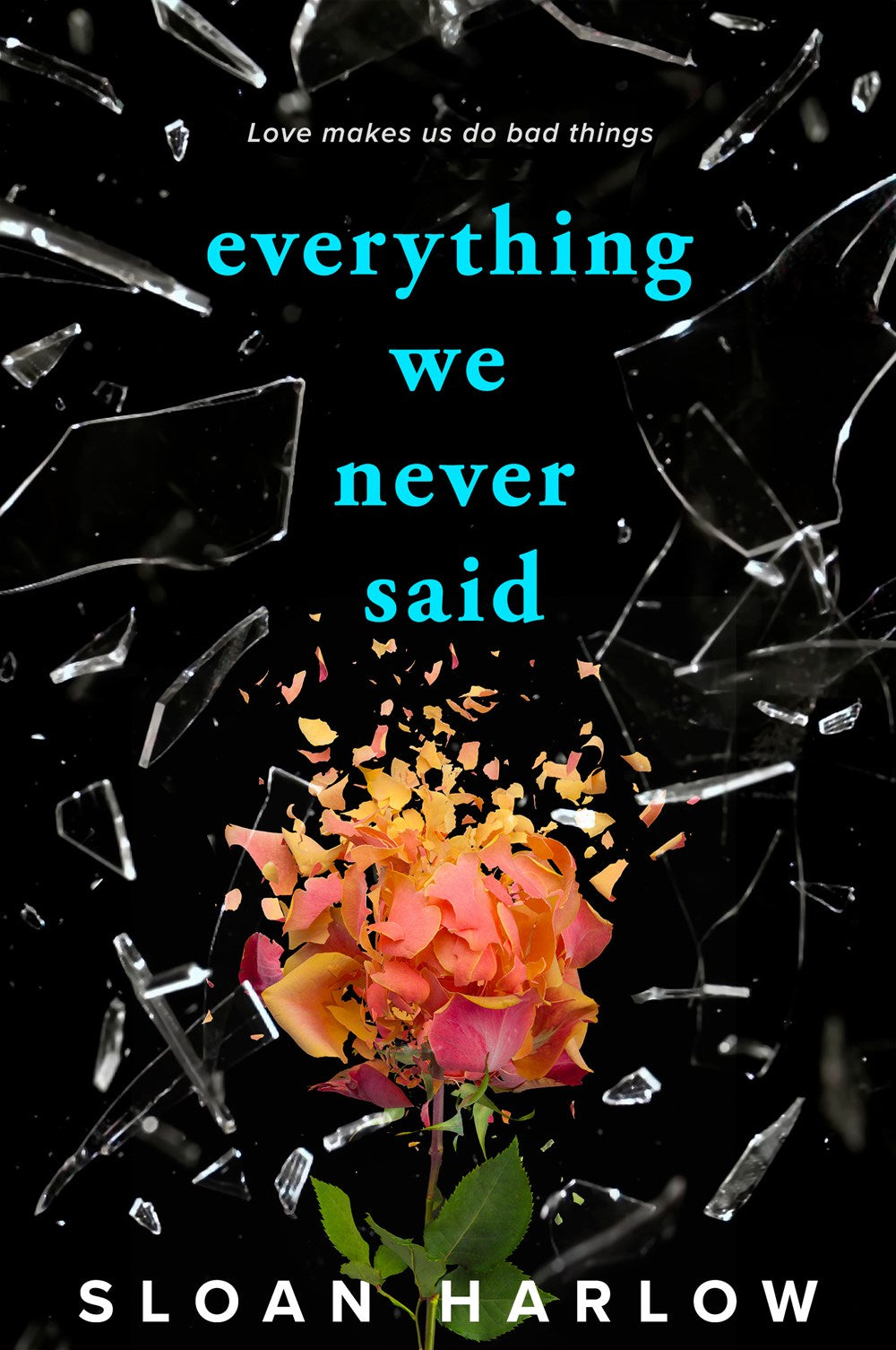 Everything We Never Said -remainder