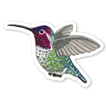 PM - Hummingbird Sticker