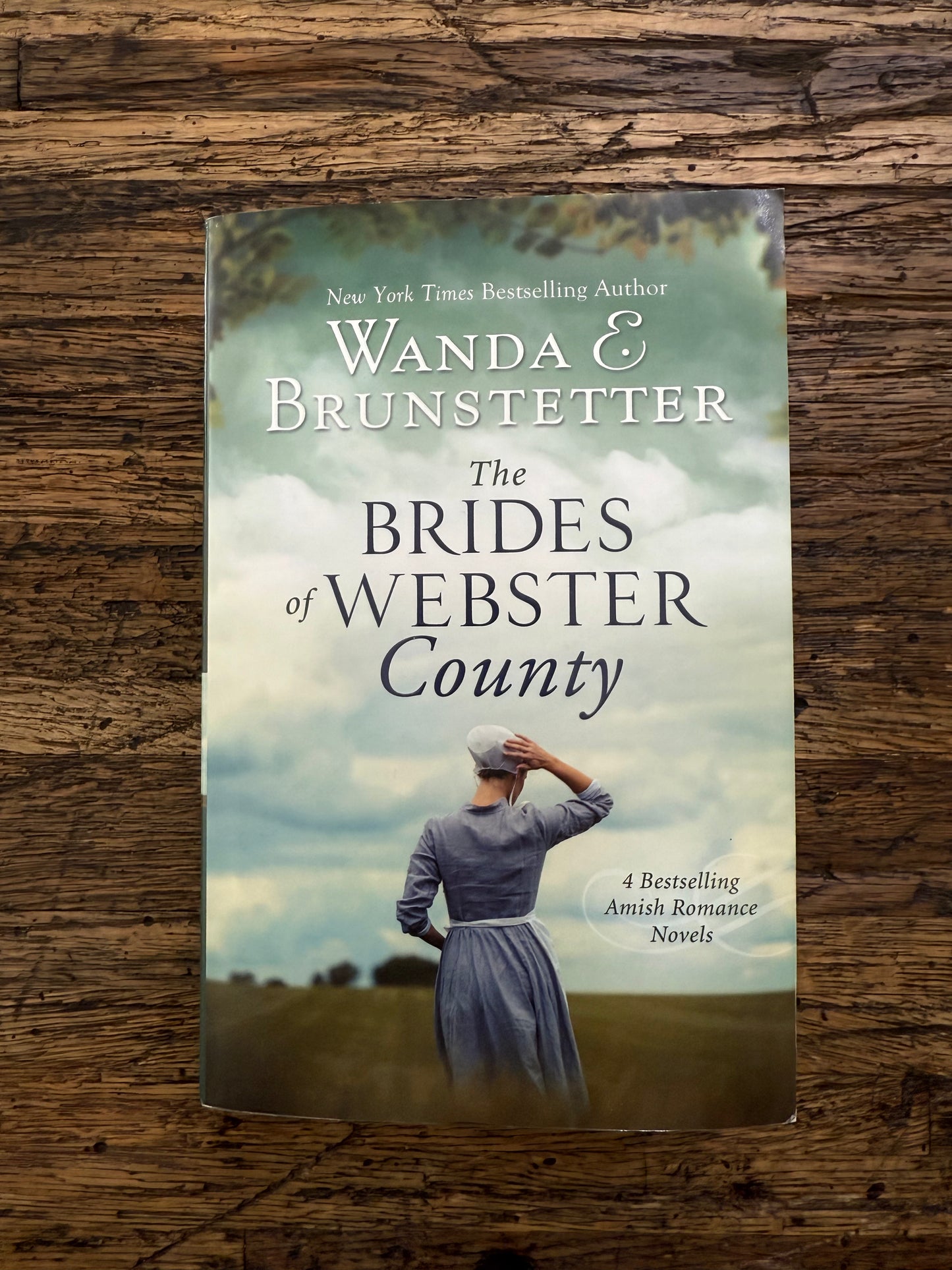 Used - The Brides Of Webster County