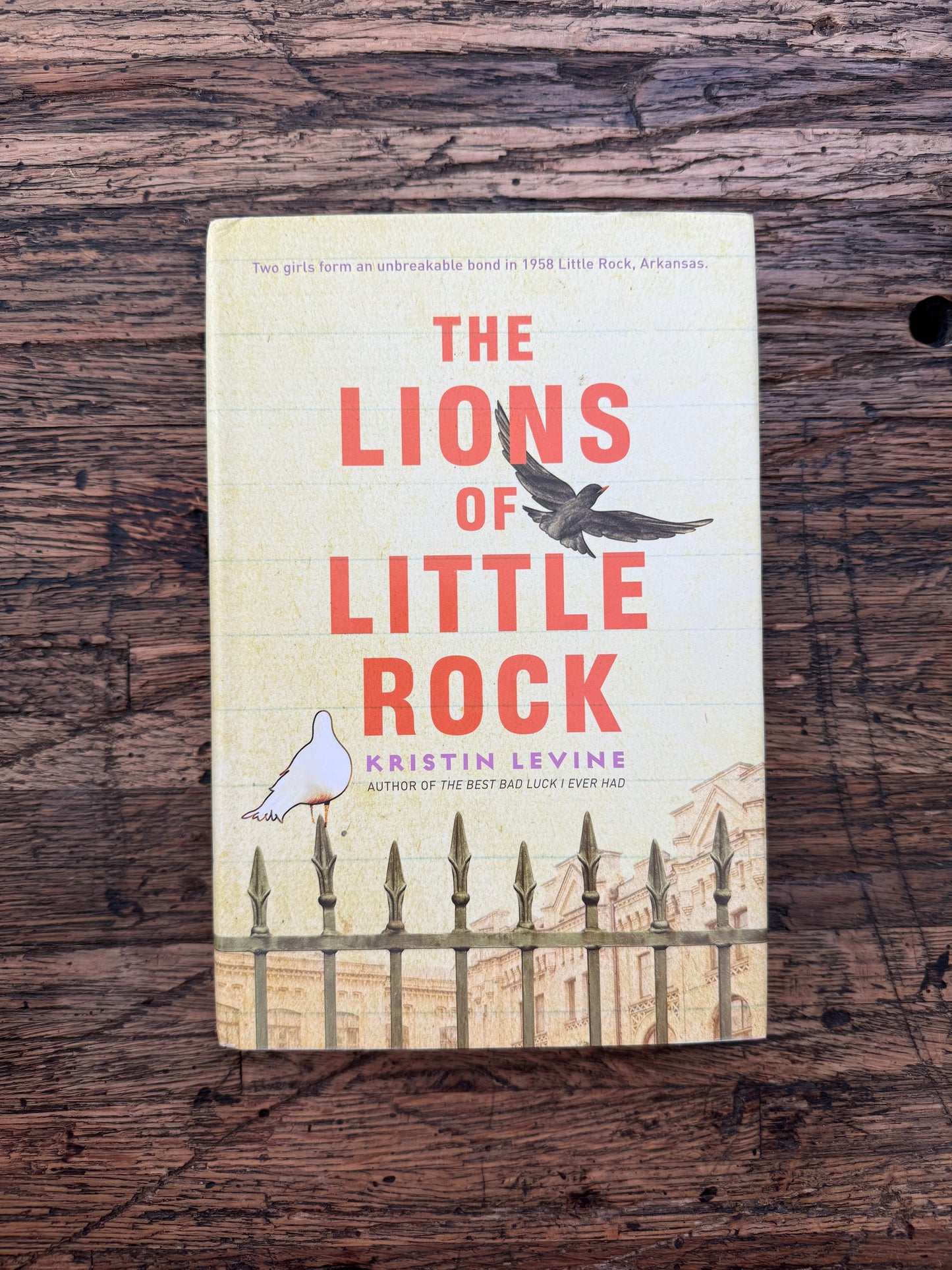 Used - The Lions Of Little Rock