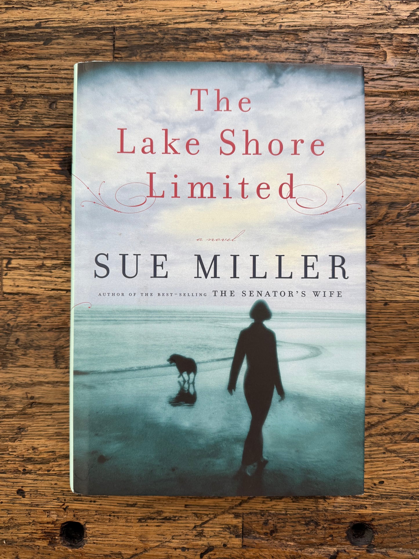 Used - The Lake Shore Limited