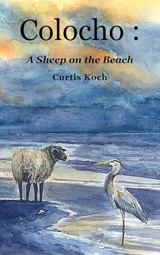 Colocho: A Sheep On The Beach