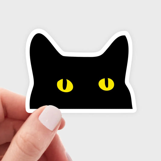 Y-Begging Kitty Sticker