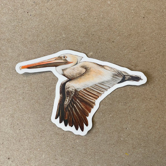 ARMI - Flying Brown Pelican - Vinyl Sticker