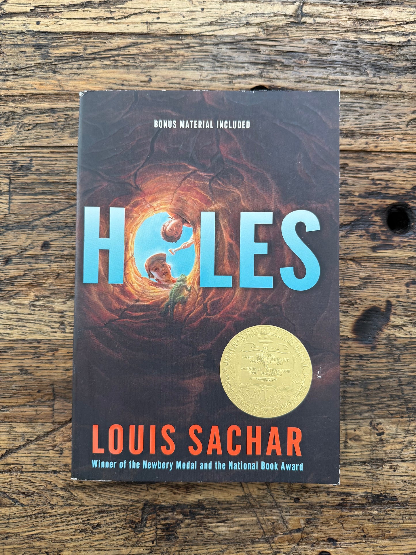 Used - Holes