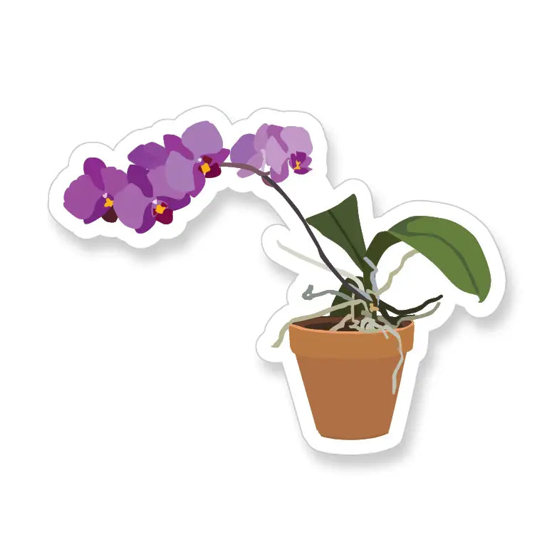 A2 - Short Purple Orchid Vinyl Sticker