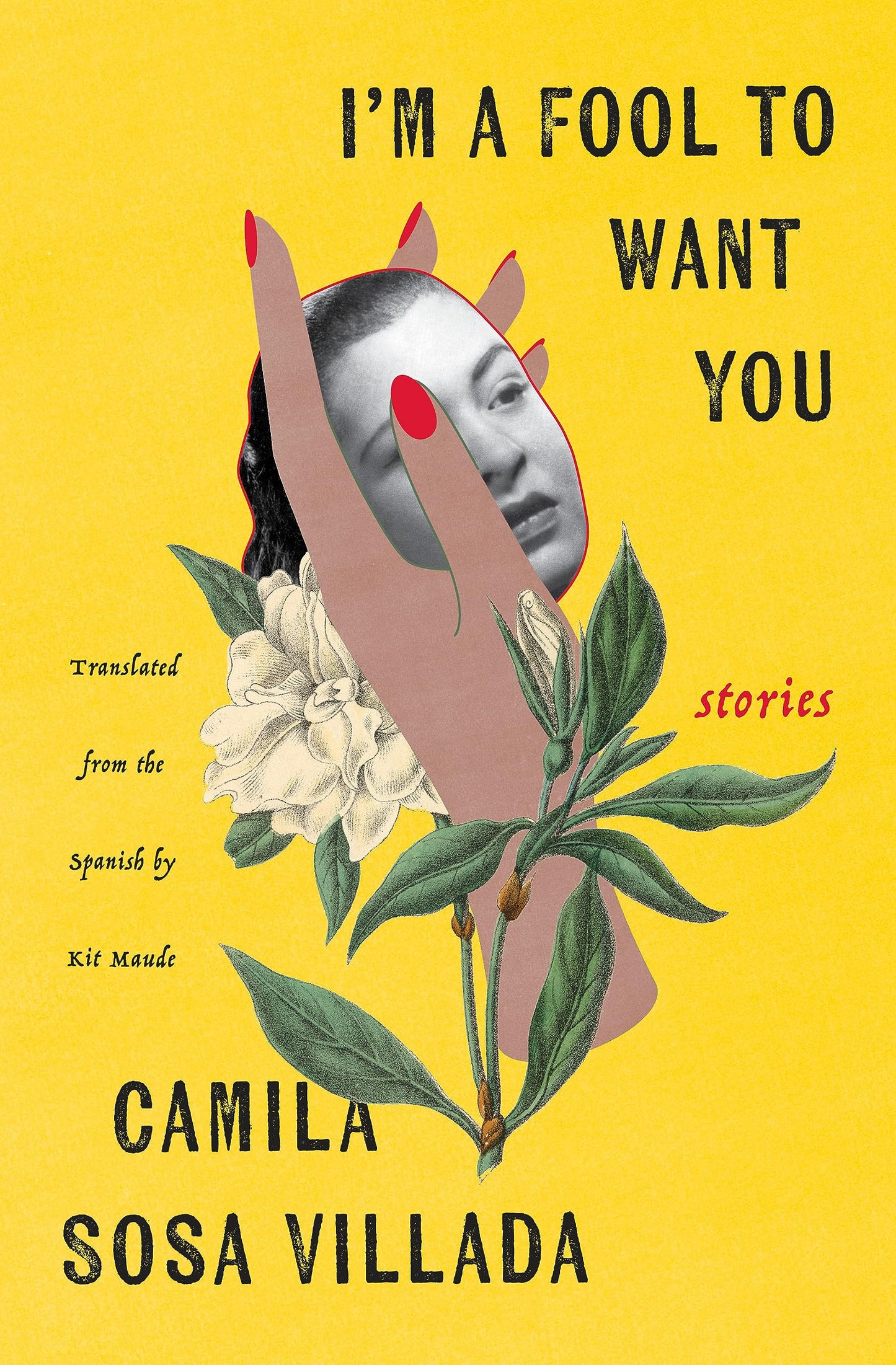 I'm a Fool to Want You: Stories