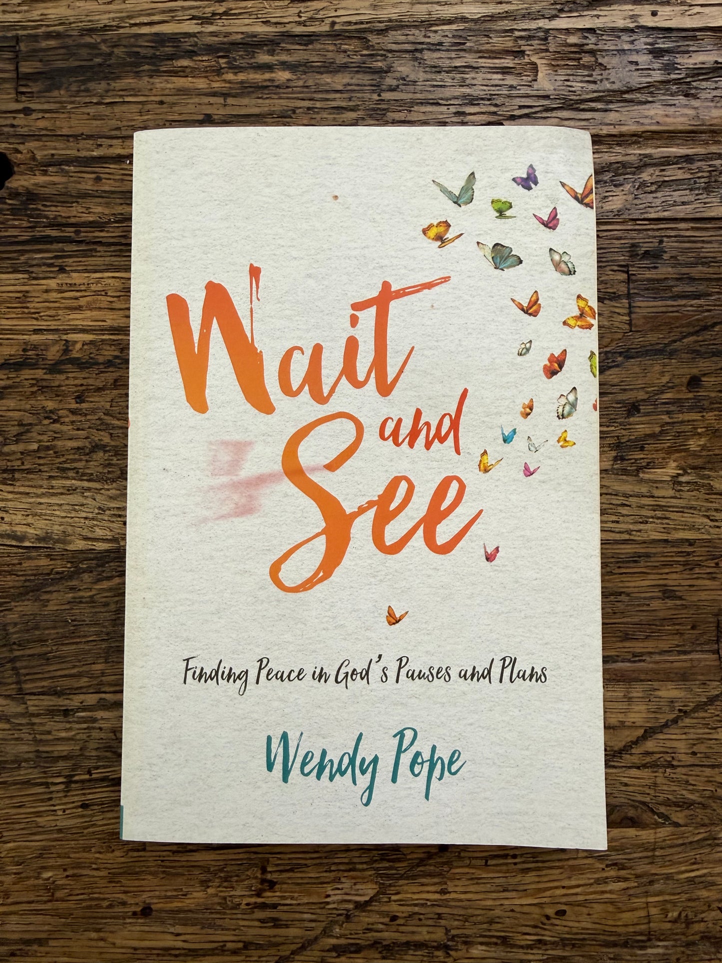 Used - Wait and See: Finding Peace in God's Pauses and Plans