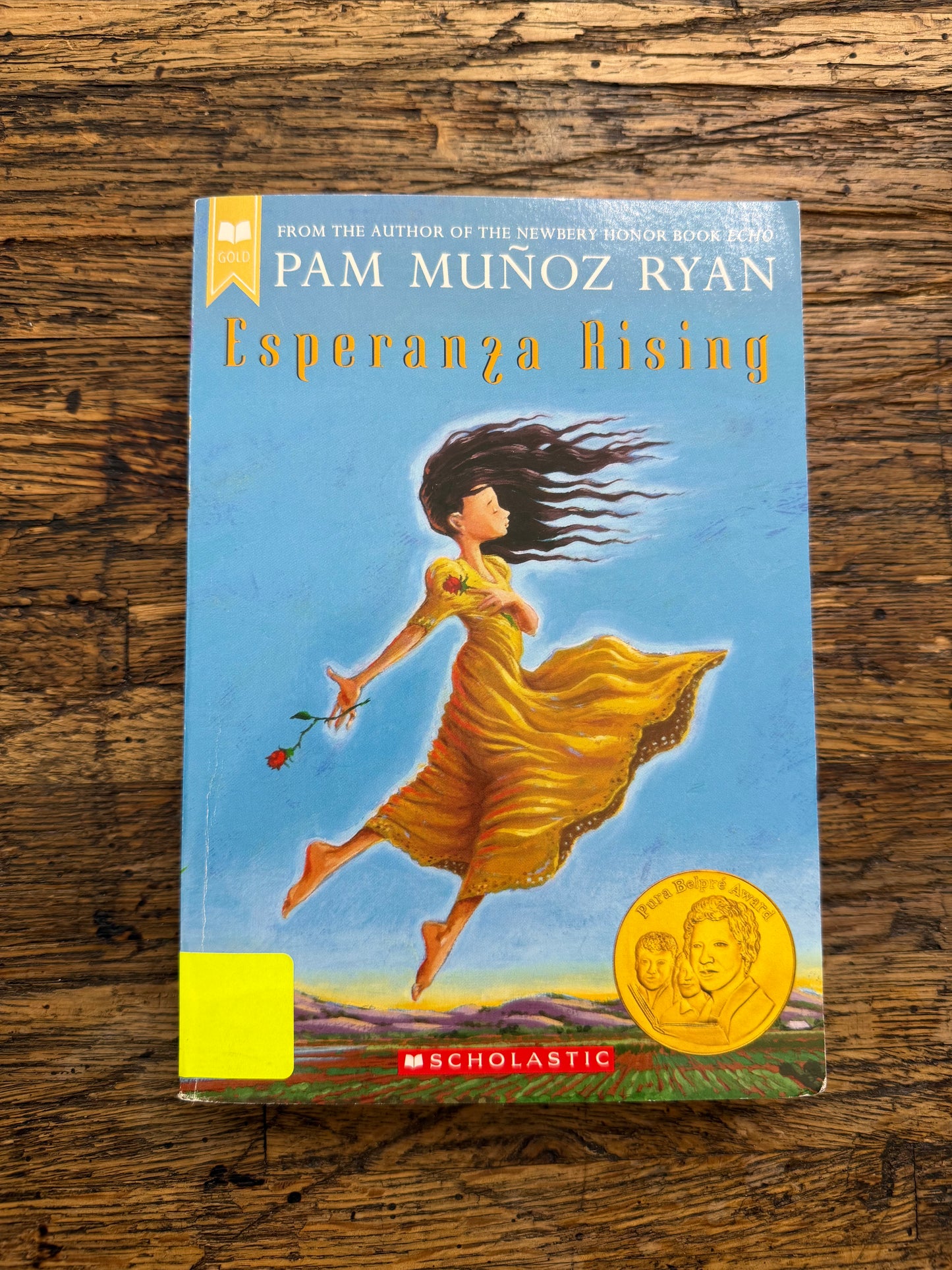 Used - Esperanza Rising