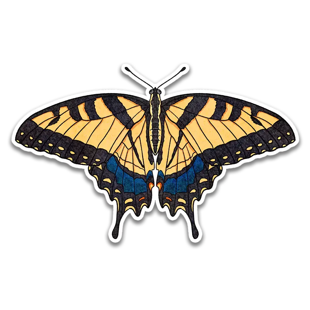 SWF - Eastern Tiger Swallowtail Sticker