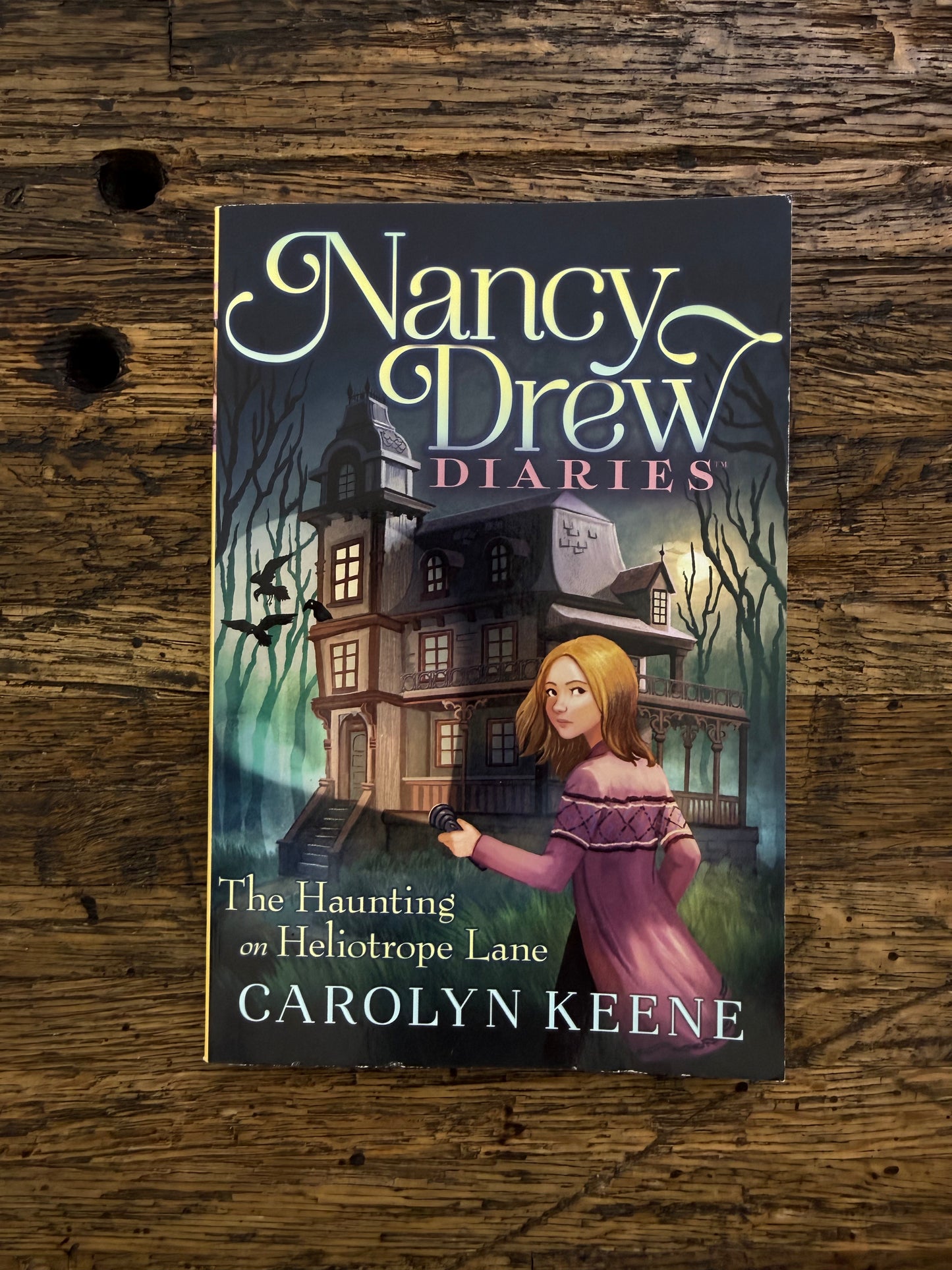 Used - The Haunting On Heliotrope Lane (NDD #16)