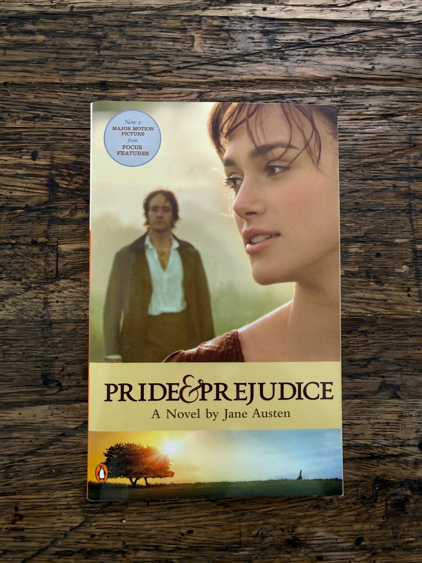 Used - Pride And Prejudice