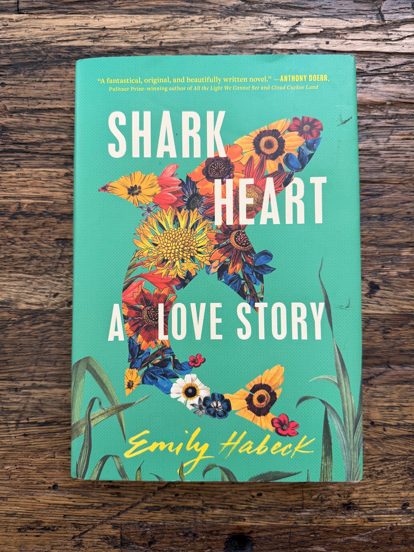 Used - Shark Heart